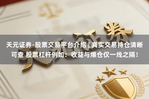 天元证券-股票交易平台介绍 | 真实交易持仓清晰可查 股票杠杆例如：收益与爆仓仅一线之隔！
