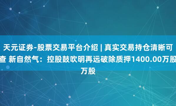 天元证券-股票交易平台介绍 | 真实交易持仓清晰可查 新自然气：控股鼓吹明再远破除质押1400.00万股
