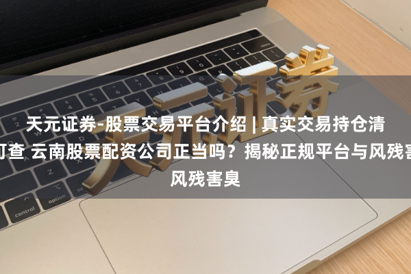 天元证券-股票交易平台介绍 | 真实交易持仓清晰可查 云南股票配资公司正当吗？揭秘正规平台与风残害臭