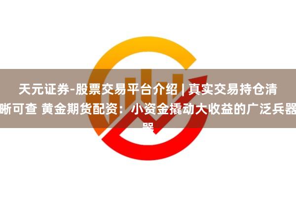 天元证券-股票交易平台介绍 | 真实交易持仓清晰可查 黄金期货配资：小资金撬动大收益的广泛兵器