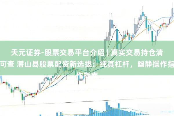 天元证券-股票交易平台介绍 | 真实交易持仓清晰可查 潜山县股票配资新选拔：纯真杠杆，幽静操作指南