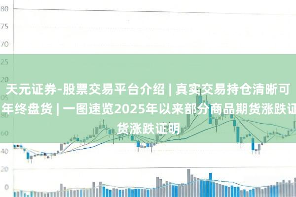 天元证券-股票交易平台介绍 | 真实交易持仓清晰可查 年终盘货 | 一图速览2025年以来部分商品期货涨跌证明