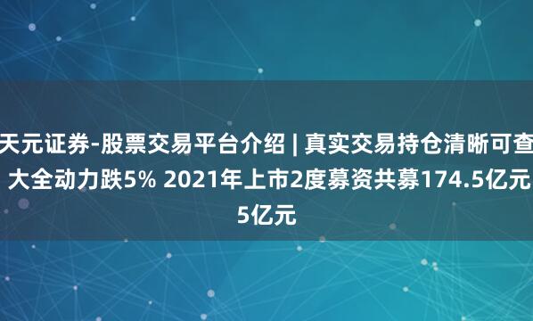 天元证券-股票交易平台介绍 | 真实交易持仓清晰可查 大全动力跌5% 2021年上市2度募资共募174.5亿元