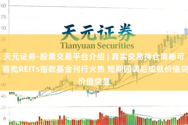 天元证券-股票交易平台介绍 | 真实交易持仓清晰可查 首批REITs指数基金刊行火热 短期回调后成就价值突显