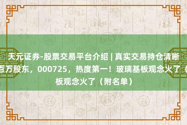 天元证券-股票交易平台介绍 | 真实交易持仓清晰可查 逾百万股东，000725，热度第一！玻璃基板观念火了（附名单）