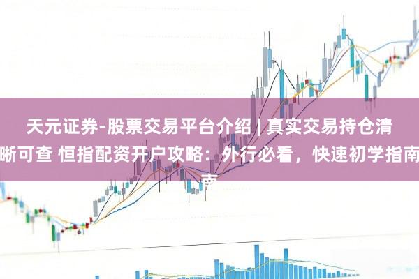 天元证券-股票交易平台介绍 | 真实交易持仓清晰可查 恒指配资开户攻略：外行必看，快速初学指南