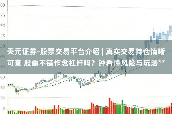 天元证券-股票交易平台介绍 | 真实交易持仓清晰可查 股票不错作念杠杆吗？钟看懂风险与玩法**