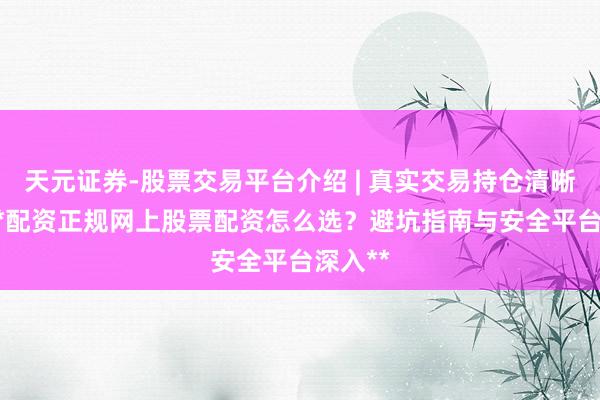 天元证券-股票交易平台介绍 | 真实交易持仓清晰可查 **配资正规网上股票配资怎么选?避坑指南与安全平台深入**