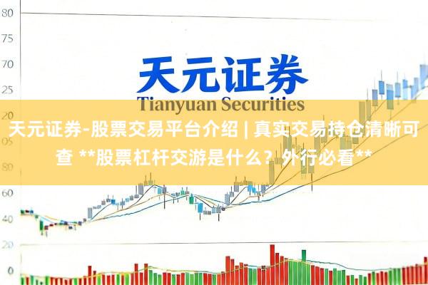 天元证券-股票交易平台介绍 | 真实交易持仓清晰可查 **股票杠杆交游是什么？外行必看**