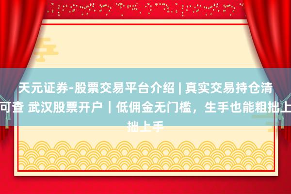 天元证券-股票交易平台介绍 | 真实交易持仓清晰可查 武汉股票开户｜低佣金无门槛，生手也能粗拙上手